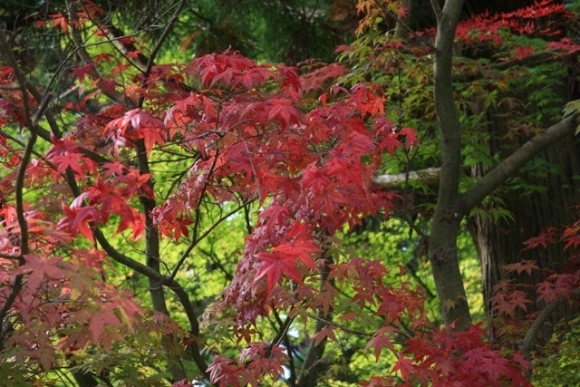 20101019 016.jpg