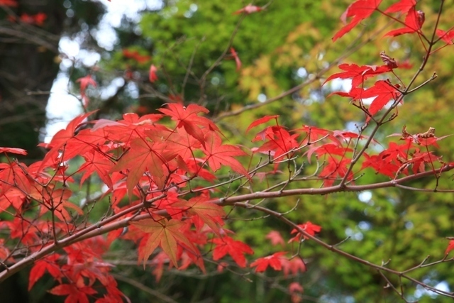 20101019 019.jpg