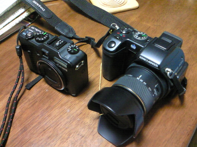 NEC_0029.JPG