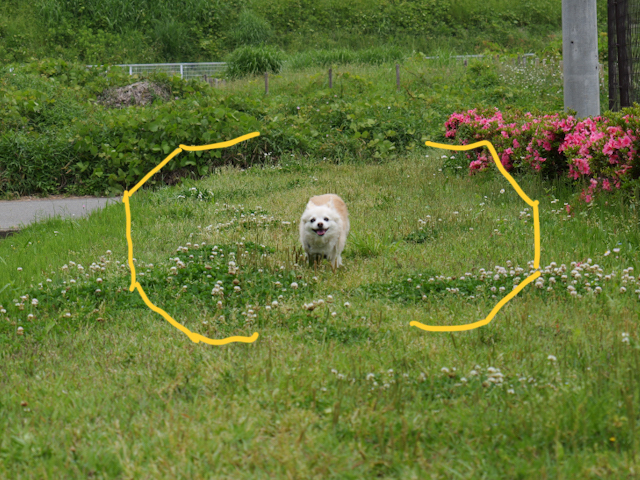 P1000227.JPG