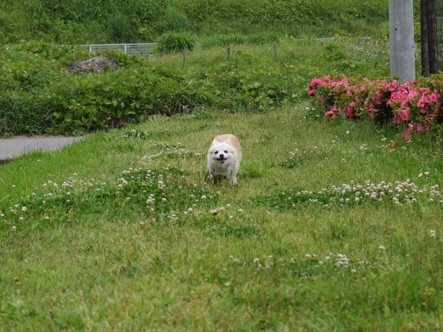 P1000227.JPG