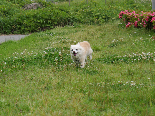 P1000229.JPG