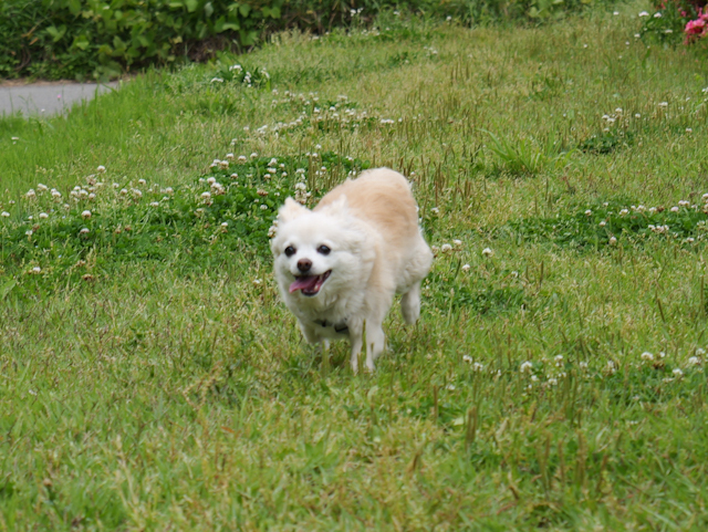 P1000231.JPG