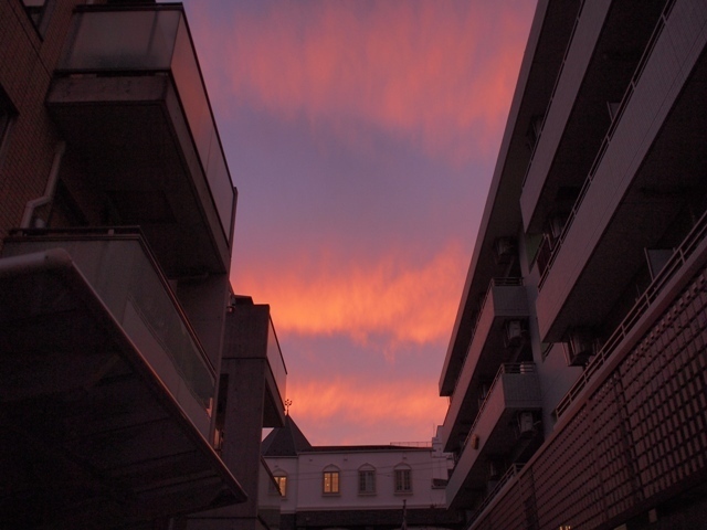 PA190394.JPG