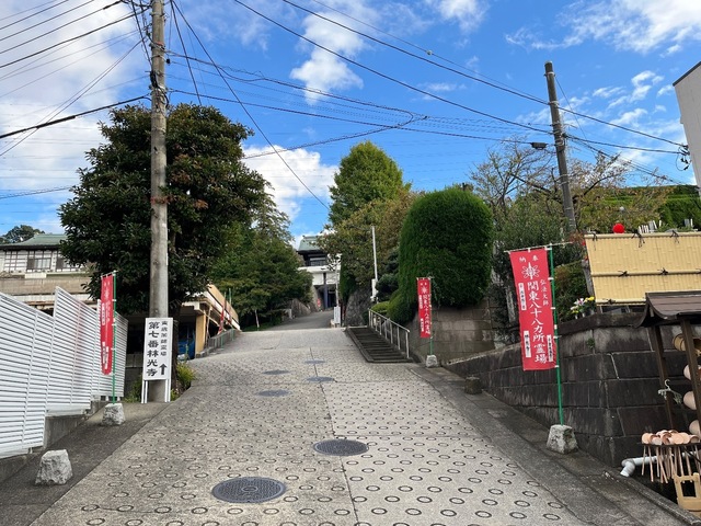 IMG_5620.jpeg
