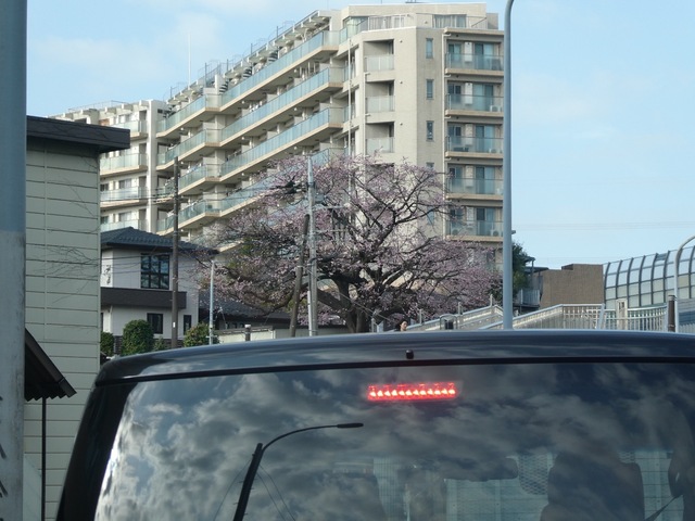 01010376.jpeg
