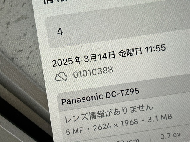 IMG_6482.jpeg