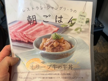 IMG_6517.jpeg