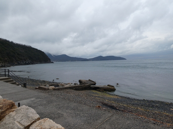 P1010412.JPG
