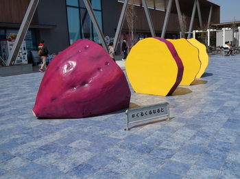 P1010466.JPG